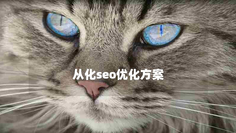 从化SEO优化方案:哪家服务商更适合您的网站?(对比与推荐)